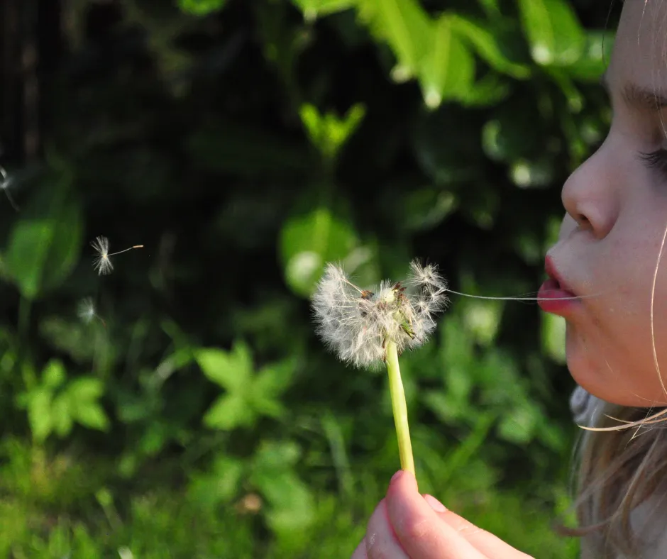 girl blowing a puff-ball