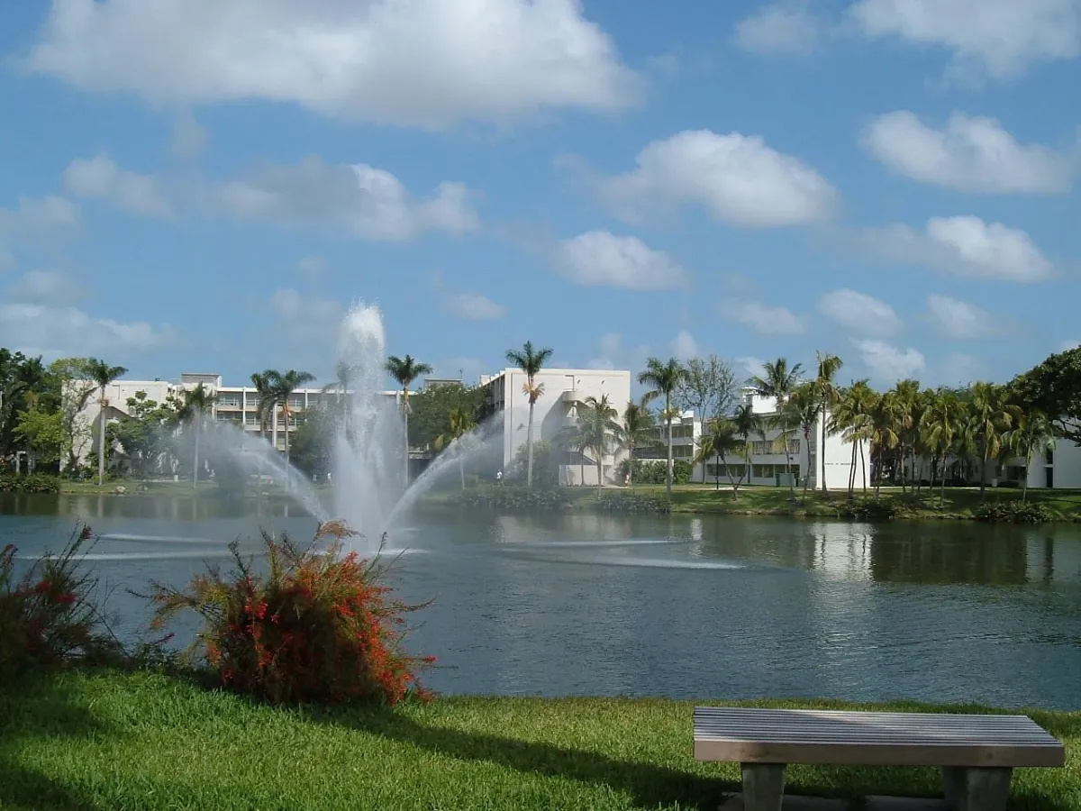 Where to Stay When Visiting the University of Miami (Plus EV-Friendly Car Rental Tips)