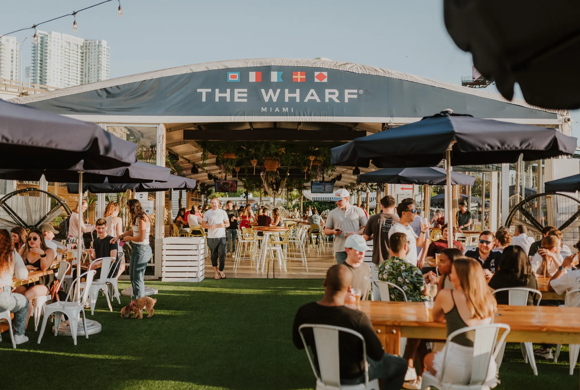 Miami Nights at The Wharf: Best Stays to Match the Vibes
