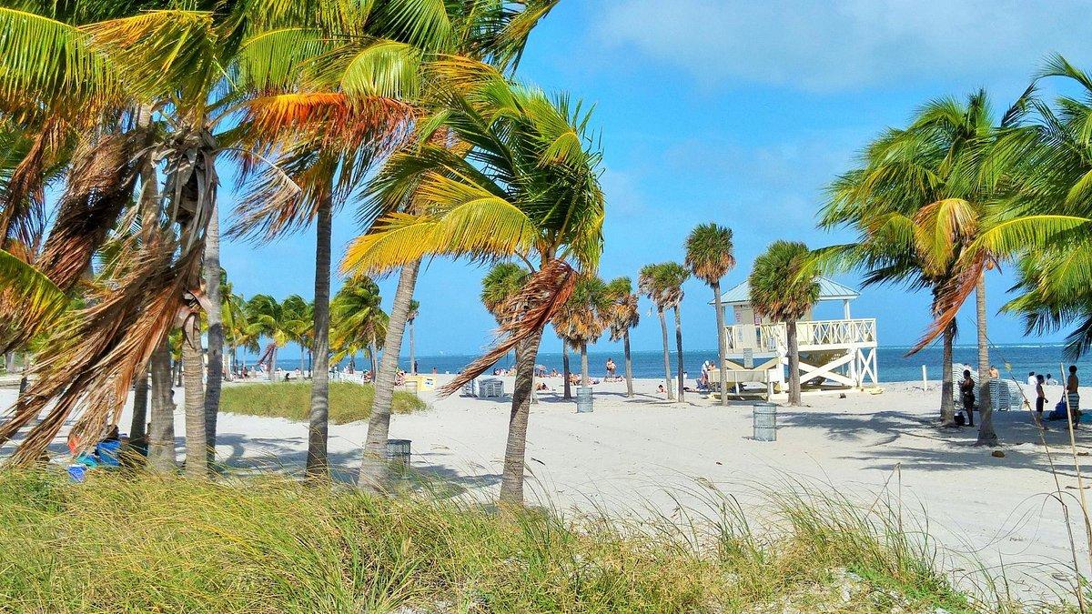 Crandon Park: Your Ultimate Miami Beach Day Guide with Car & Hotel Tips