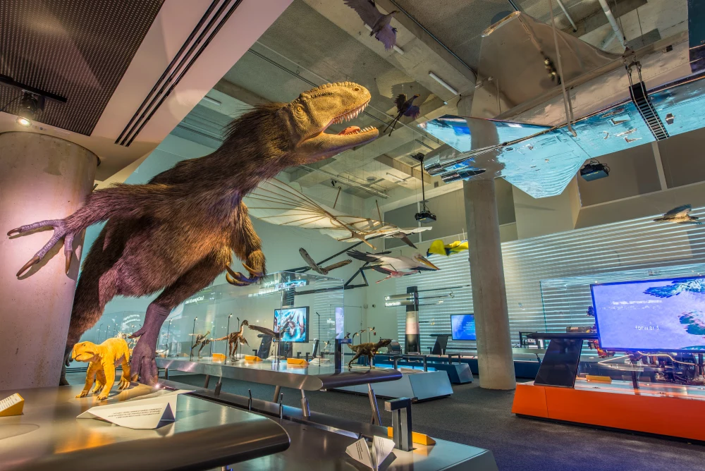 Explore the Phillip and Patricia Frost Museum of Science: Miami Travel Guide with Car & Hotel Tips