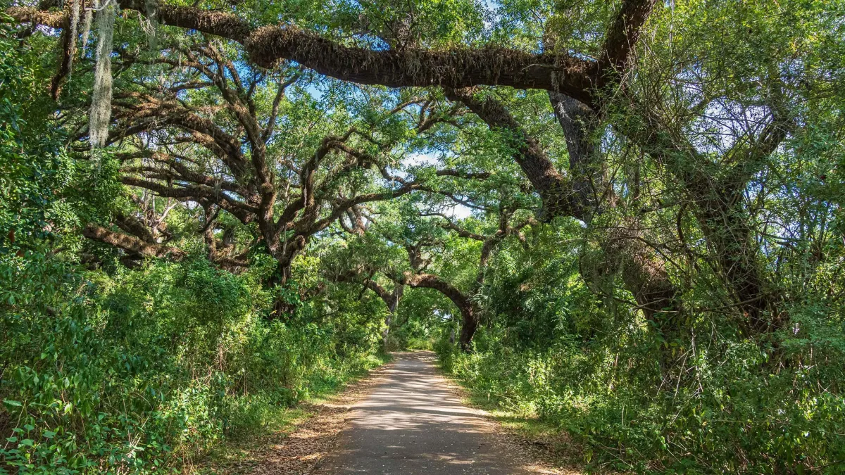  Explore Secret Woods Nature Center: A South Florida Nature Escape (with Hotel & Car Rental Tips)