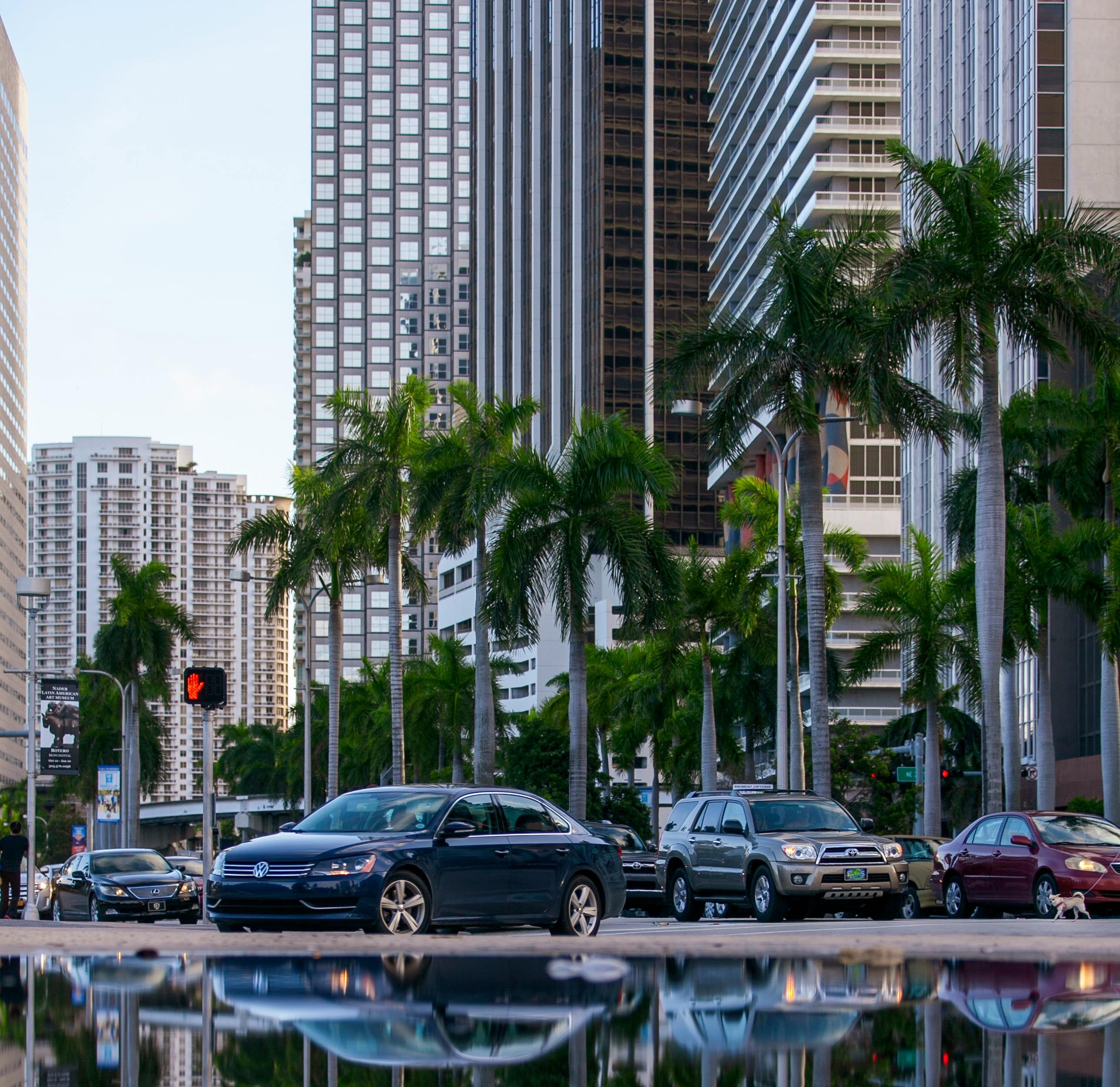 This post contains affiliate links. If you make a purchase through these links, we may earn a commission at no additional cost to you.