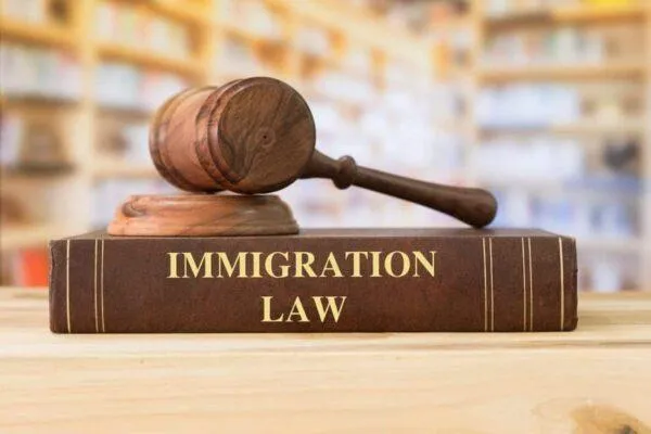 Judge’s gavel resting on top of a book titled “Immigration Law.”