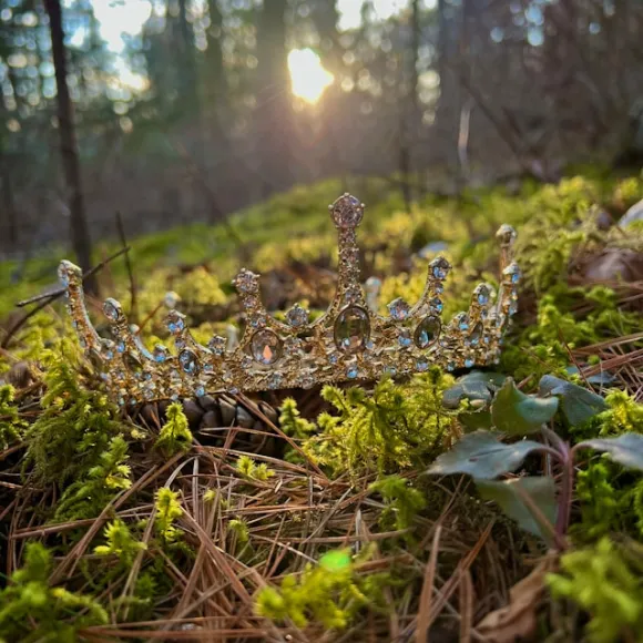 corona de reina en medio de un bosque