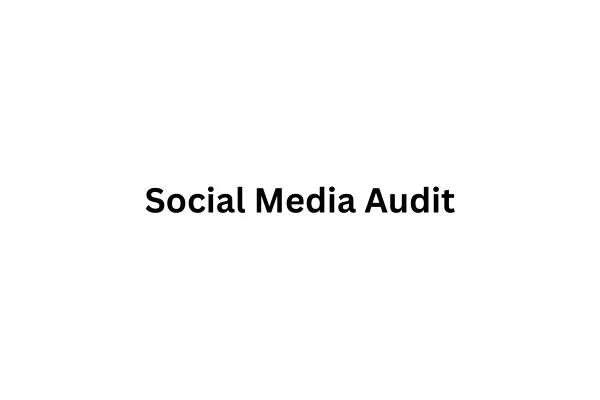 Social Media Audit