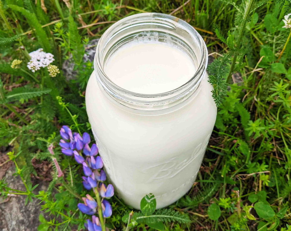 What Would Happen if You Lived on Raw Milk Alone?