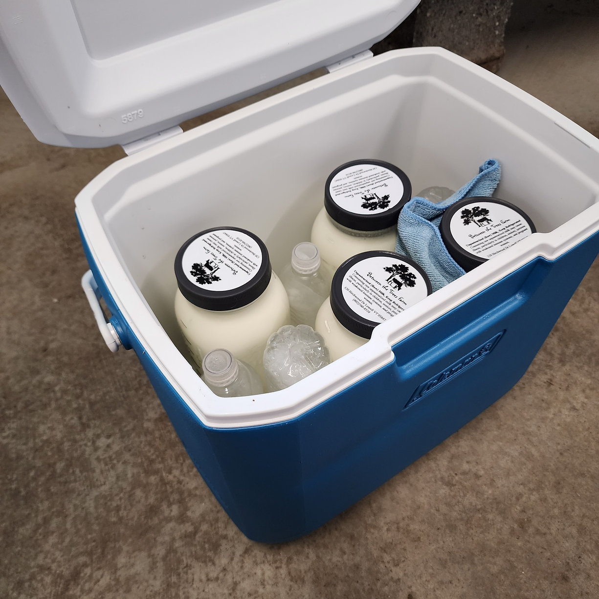 Do These 3 Things to Bring Your Raw Milk Home Safely