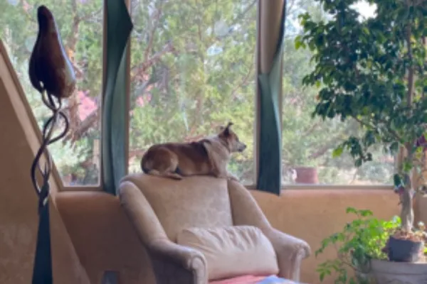 April 26, 2025  My Mom Chose Somatic Therapy Over a Beautiful Hike, Go Figure.