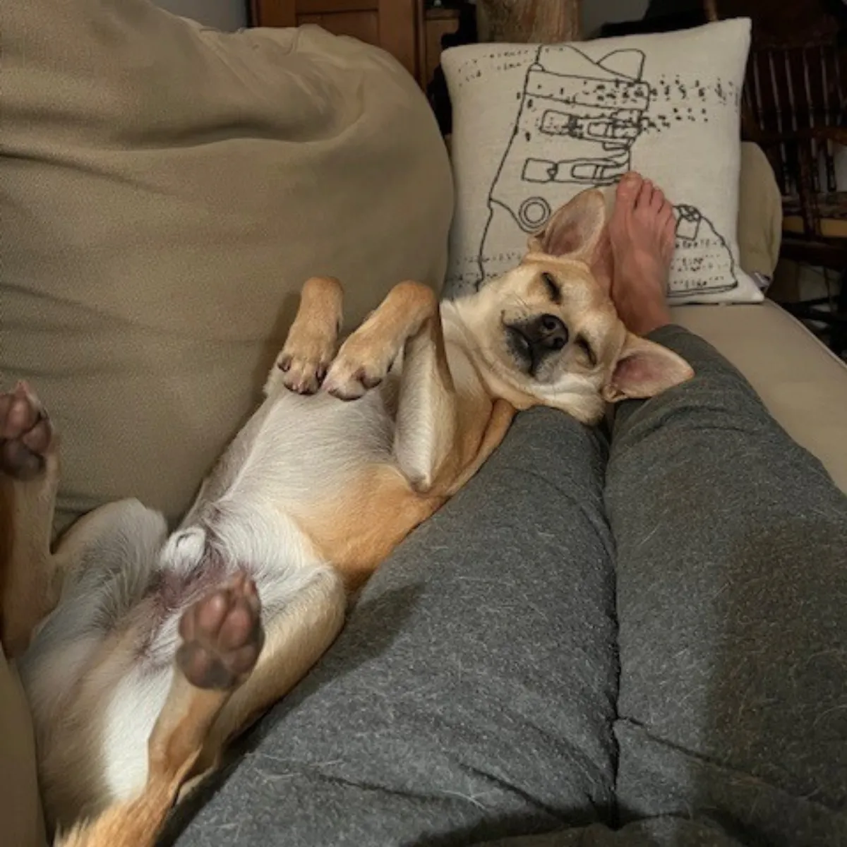 When we are in these states of mind, life feels easier.