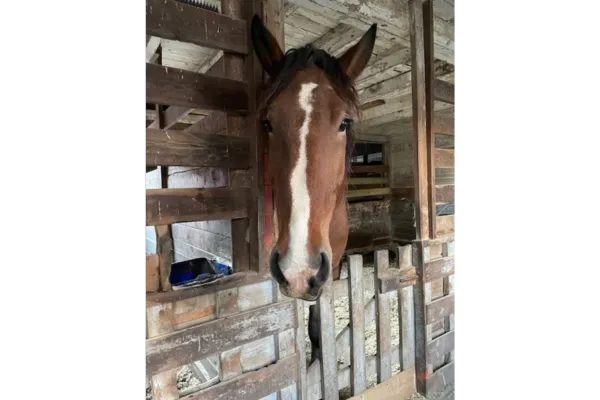 Let your holiday gift to someone be a donation in their name!