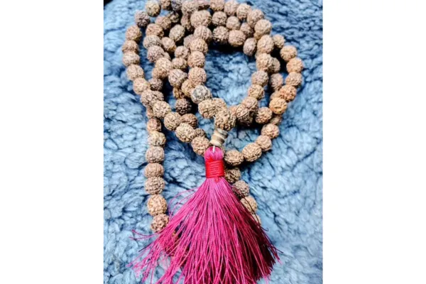 November 29, 2025  Move Your Focus to Change Your Thoughts