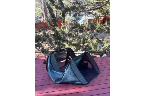 Keep Your "Gaze" on The Important Things in Your Life