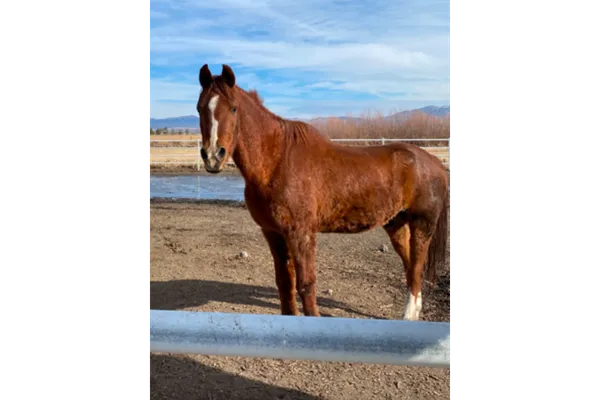 Maybe a little compassion and kindness for ourselves and others, is the way!