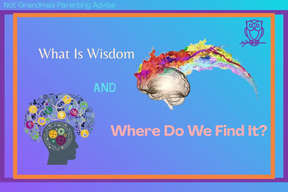 Attachment Runway - What is WISDOM and Where  do we find it?