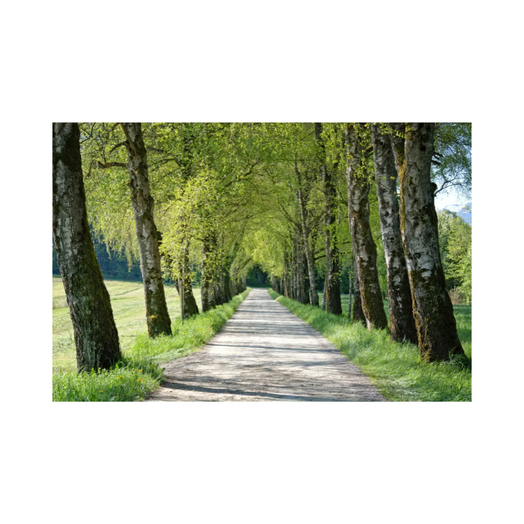 Fibromyalgia, Limitations & New Normals