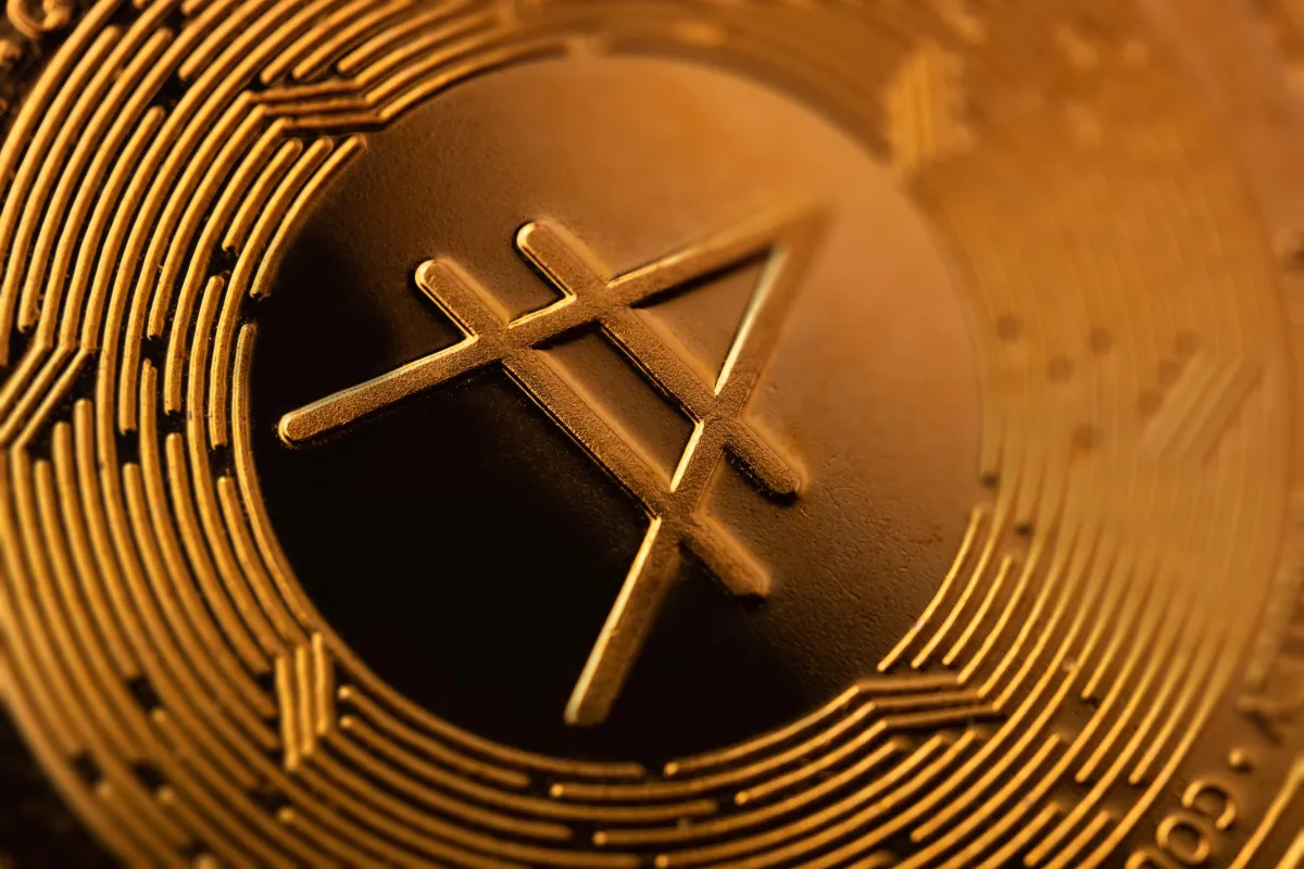 The Truth about Desire Led Business