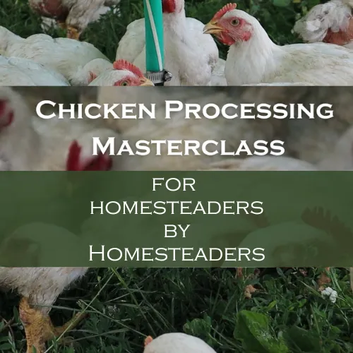 Heartway Farms Chicken Processing Masterclass