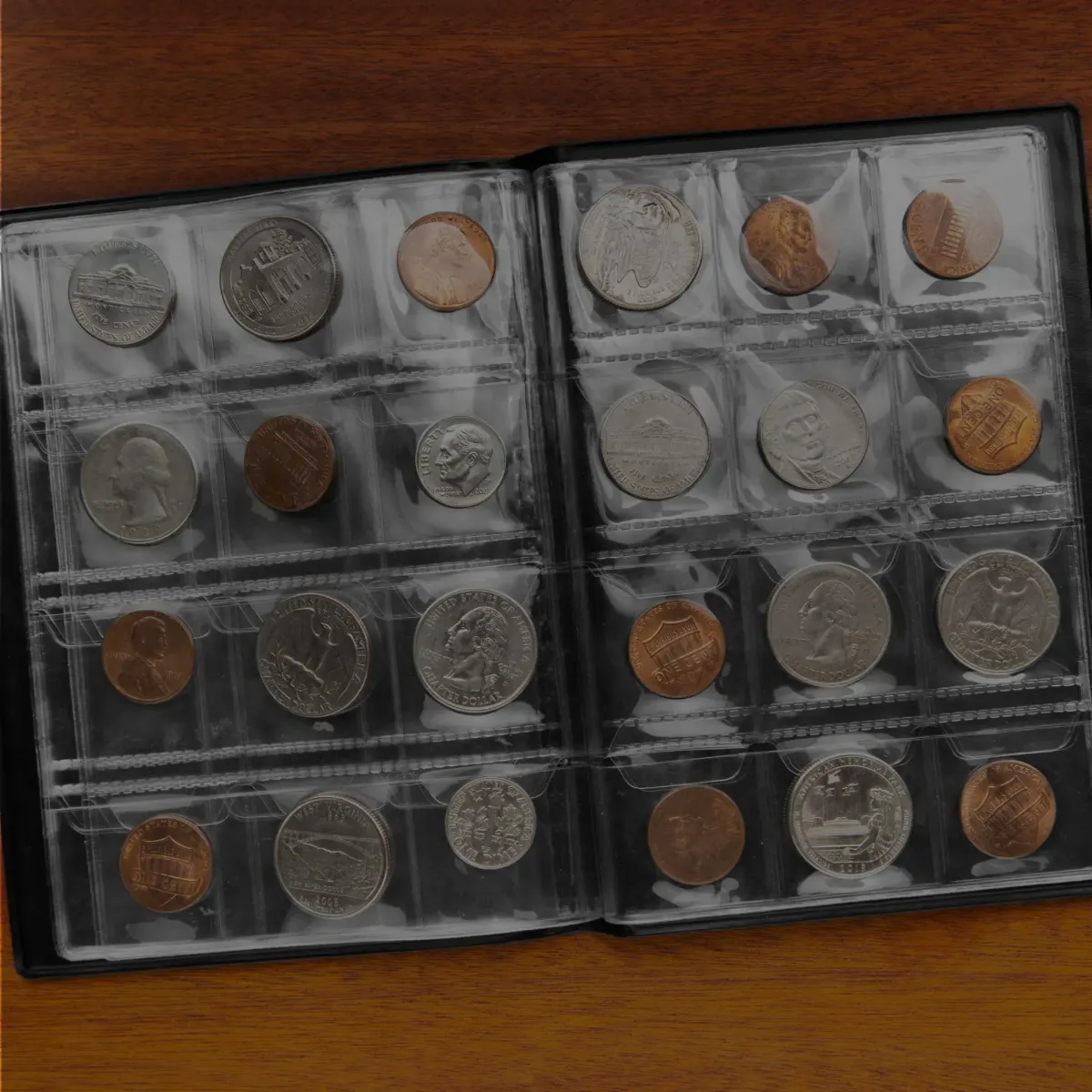 Professional coin collection organized in a protective numismatic storage album.