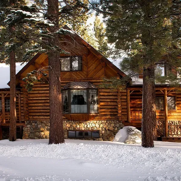 Trees around your property