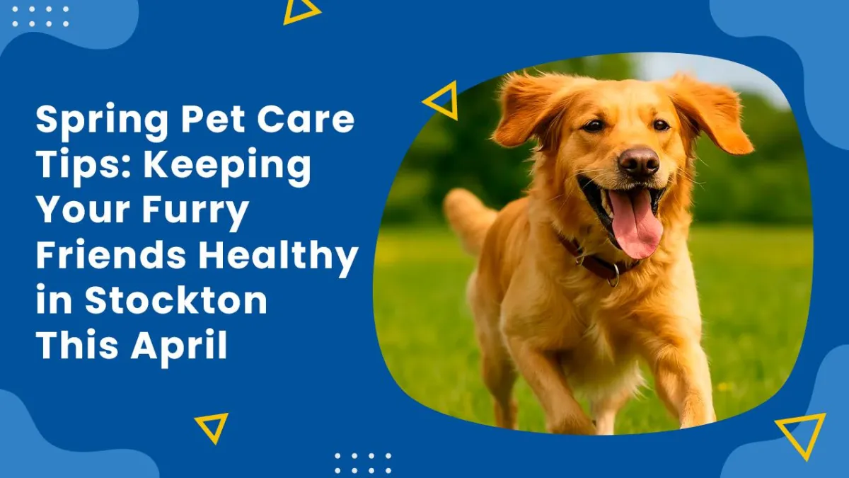 Spring Pet Care Tips: Keeping Your Furry Friends Healthy in Stockton This April