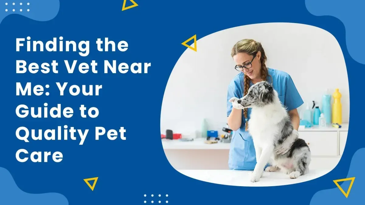 Finding the Best Vet Near Me Your Guide to Quality Pet Care