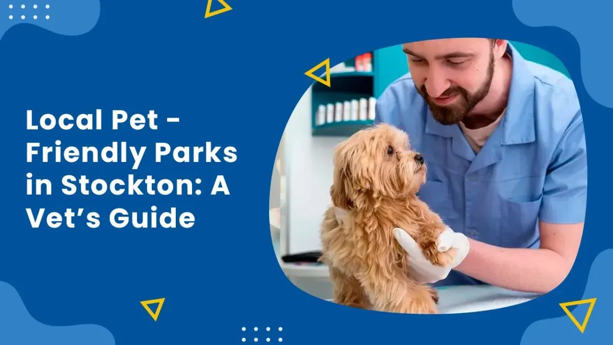 Dog playing in a sunny park with lush green grass and trees in the background.