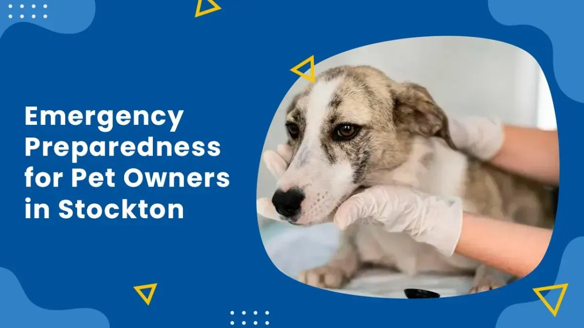 Emergency Preparedness for Pet Owners in Stockton