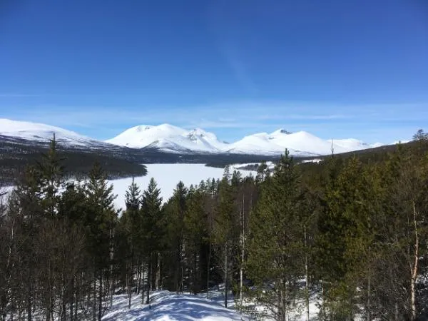 What has inspired Glåsbird