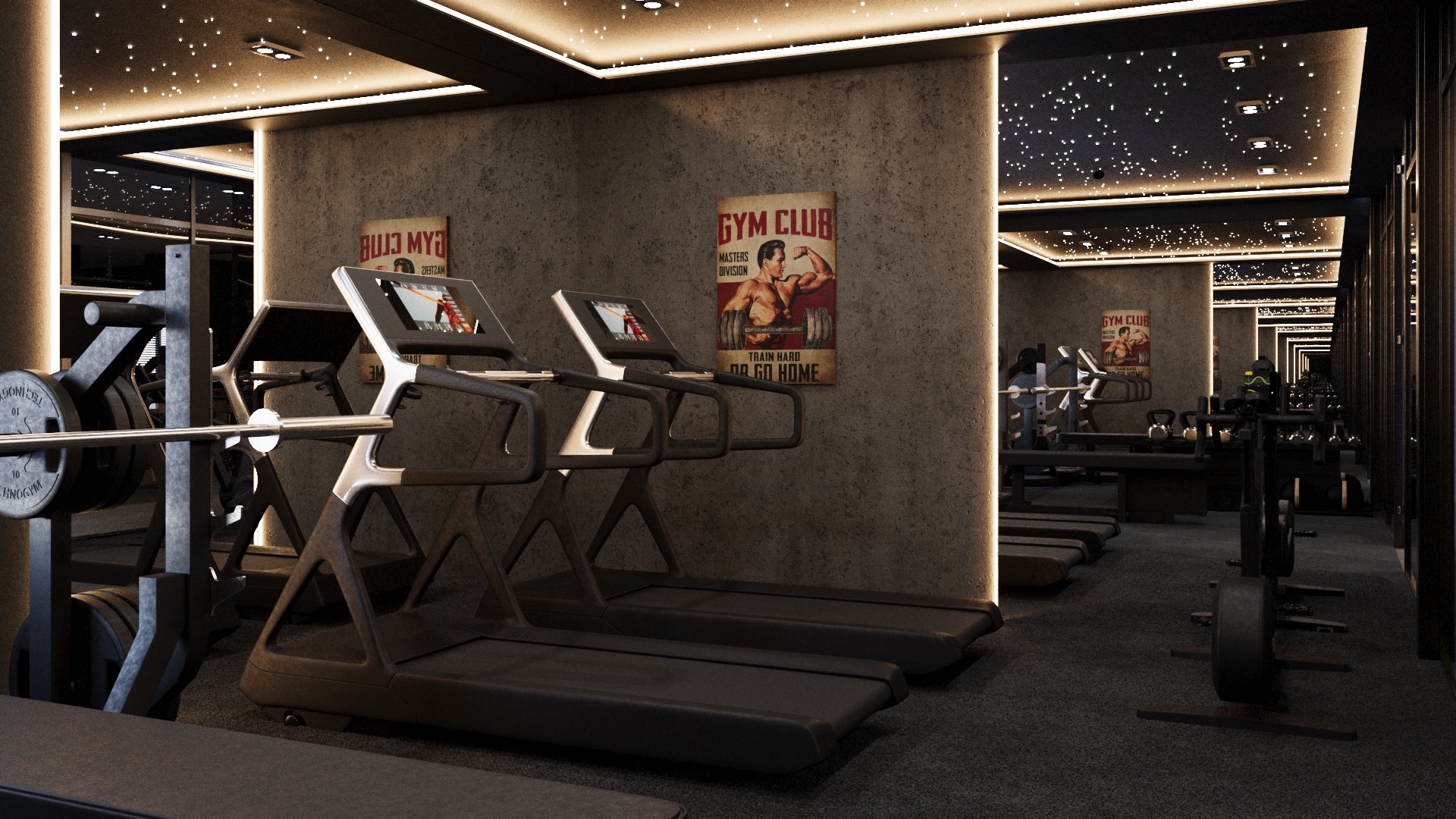 A Basement in Philadelphia remodeled to a modern looking and equipped gym.