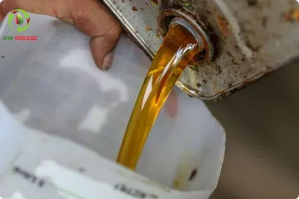From Kitchen Waste to Clean Energy: How Used Cooking Oil Becomes Biodiesel