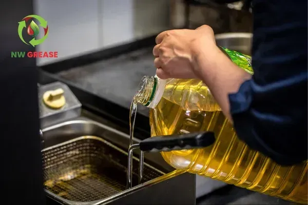 used-cooking-oil-management
