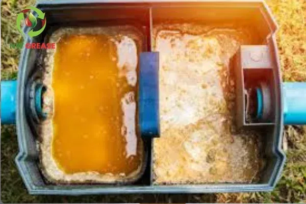  restaurant grease waste