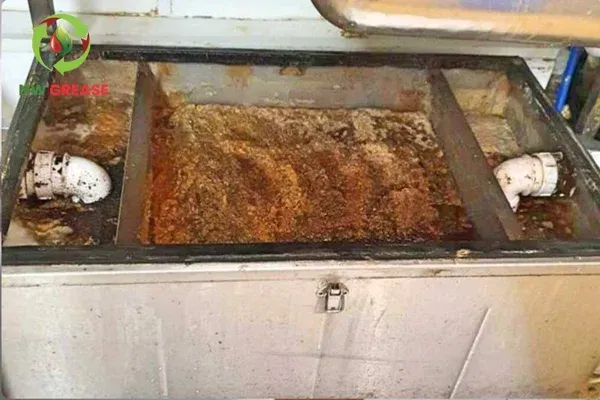  grease trap maintenance