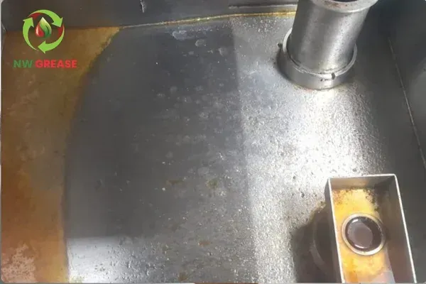 grease trap inspection 