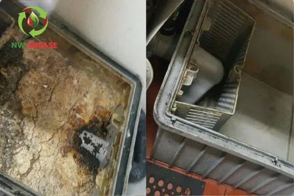 Grease Trap vs. Grease Interceptor: Which Does Your Business Need?