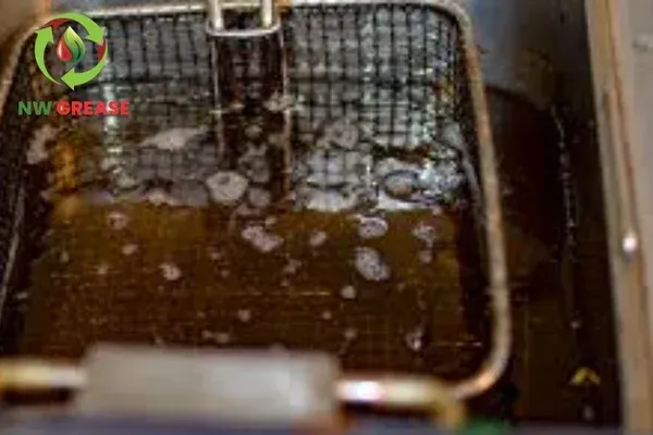 Why U.S. Restaurants Are Switching to Professional Oil Recycling Services in 2025