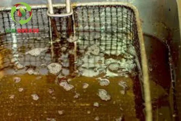 What Restaurants Should Know About U.S. EPA Regulations for Oil Waste