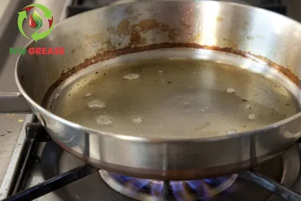 used cooking oil pickup service