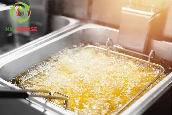 Home Cooking Oil Recycling Made Simple