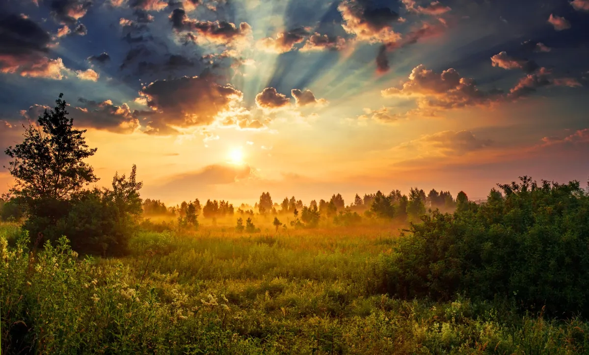 Sunrise landscape symbolizing future