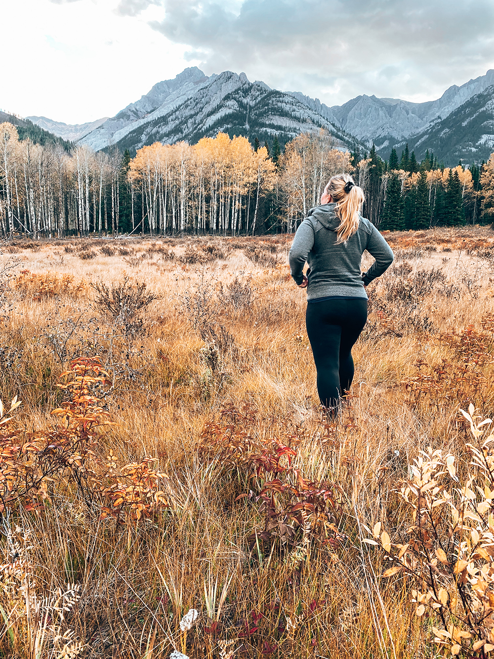 Changing of the Seasons Renewal Exercise