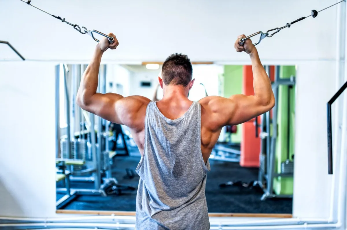 The Ultimate Guide to Bicep and Tricep Workouts for a Toned Arms