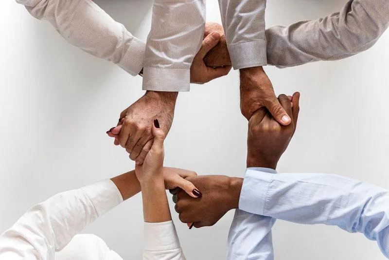 The Key to Success in Pharmaceutical Teams – Cohesion and Collaboration