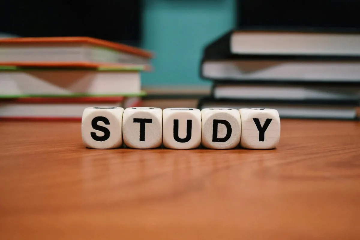 study dice