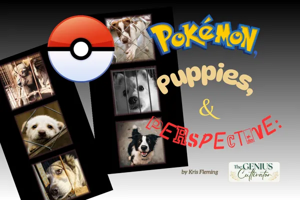 Pokemon, Puppies, and Perspective