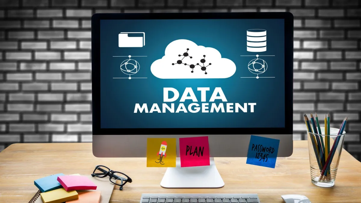 Beyond Spreadsheets: Data Management Consulting for Growth

