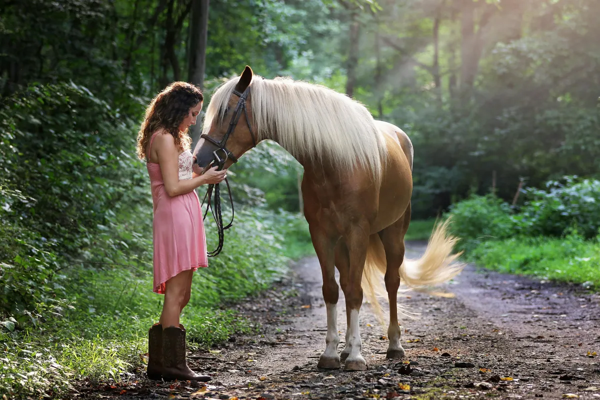 How Equestrian-Focused Therapy Enhances Strength and Mobility