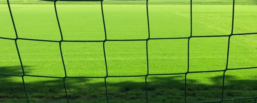 Kaders zetten, de kunst van structuur in NLP en coaching