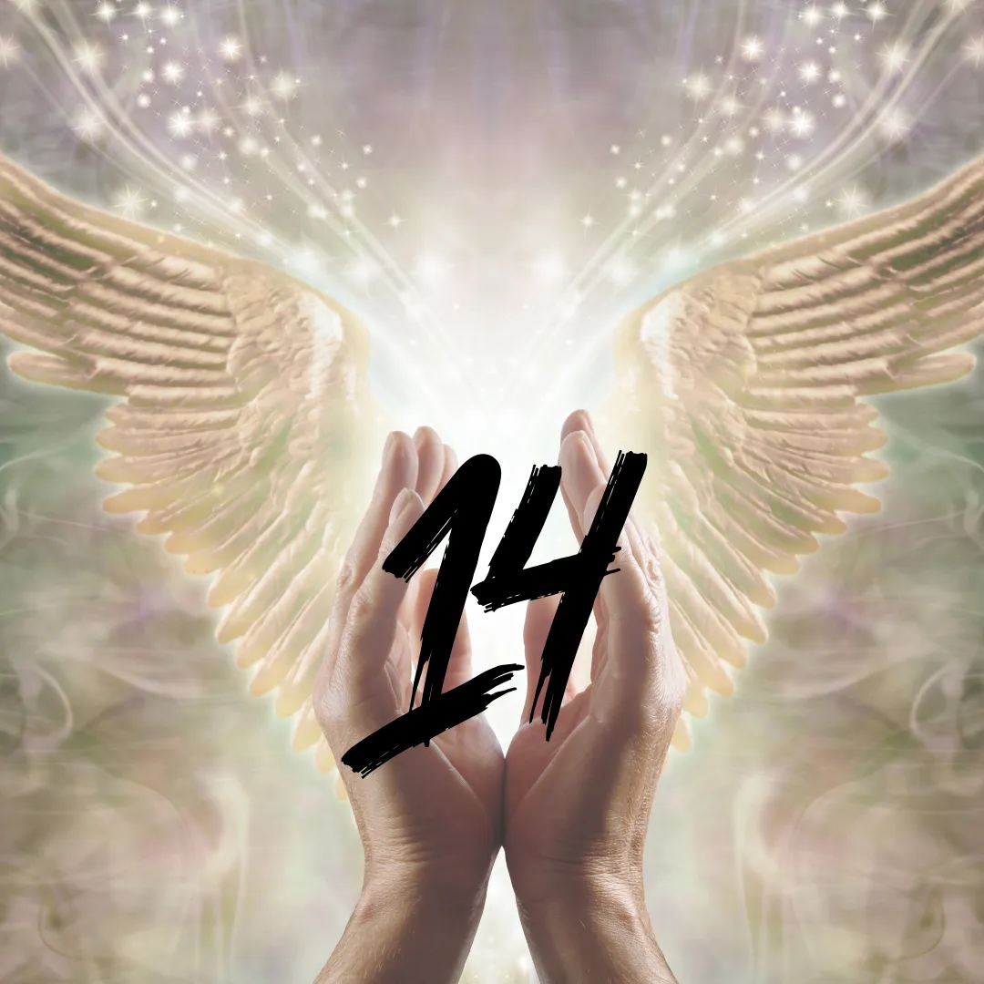 angel hands holding number fourteen